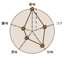 焙煎度合い：シティとフルシティの中間（中深煎り）