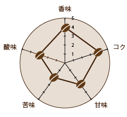 焙煎度合い シティとフルシティの中間（中深煎り）