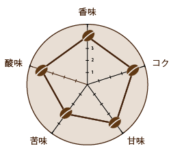 焙煎度合　シティとフルシティの中間（中深煎り）