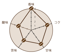 焙煎度合い シティとフルシティの中間（中深煎り）