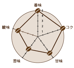 焙煎度合い シティとフルシティの中間（中深煎り）