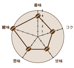 焙煎度合い シティとフルシティの中間（中深煎り）