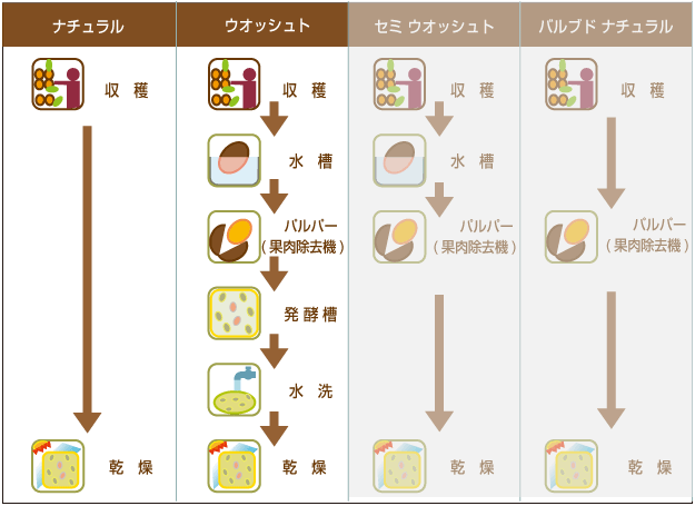 4つの精製方法の比較図