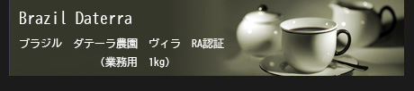 ブラジル　ダテーラ農園　ヴィラRA