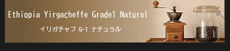 イリガチャフ　G-1　ナチュラル
