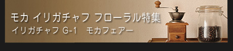 モカ イリガチャフ フローラル特集