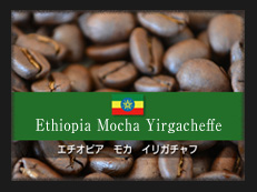 エチオピア　モカ　イリガチャフ
